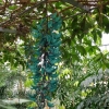 Im botanischen Garten von Leiden