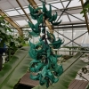 Im botanischen Garten von Leiden