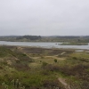 Dünenwanderung im Nationalpark Zuid-Kennemerland