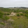Dünenwanderung im Nationalpark Zuid-Kennemerland