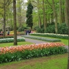 Keukenhof