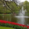 Keukenhof
