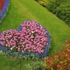 Keukenhof