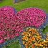 Keukenhof