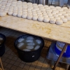 Gouda-Herstellung