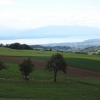 Blick zum Genfersee / Lac Léman
