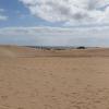 Parque Natural de Corralejo,  Sanddünen