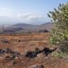 Gran Canaria, Blick an die Ostküste