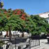 Mittageshalt in San Bartolome de Tirajana