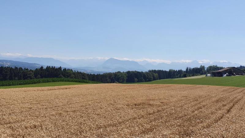 Schwarzenbach, Blick zur Rigi