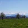 Blick zum Alpenkamm, bei Rain