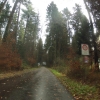 Radroute 71 bleibt noch mein Weg, in der Nähe von Aarwangen