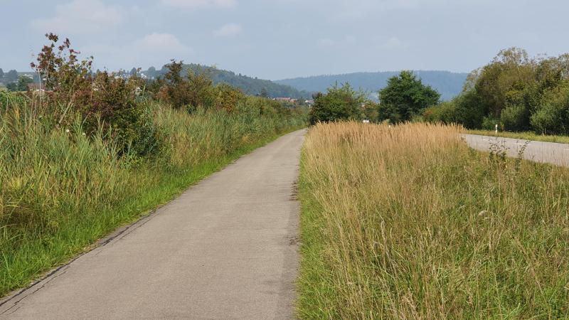 Furttal-Adlikon-Neeracherried-Rheintal-Aaretal