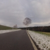 Schnee auf dem Regensberger