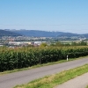 Furttal