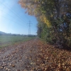 Unterwegs im Furttal