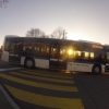 Sonniges Adlikon im Furttal
