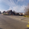 Otelfingen, das golfspielende Wildschwein