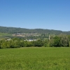 Otelfingen, Blick an die Lägern