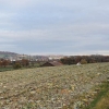 Furttal, Blick zurück
