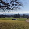 Blick zu den Alpen, oberhalb Adlikon