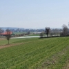 Furttal in Richtung Regensdorf