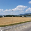 letzter Blick ins Furttal
