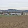 Blick das Furttal hinauf