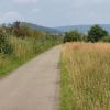 Dem Neeracherried entlang
