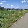 Blick zurück im Furttal
