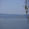 am Zugersee
