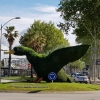 Ente im Kreisel