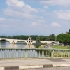 Le Pont d'Avignon