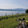 Am Genfersee