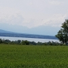 über dem Genfersee