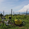 über dem Genfersee