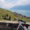 In den Rebbergen des Lavaux