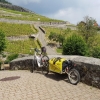 In den Rebbergen des Lavaux