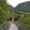 Hängebrücke, Gomser-Bridge