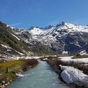 Die noch junge Rhone