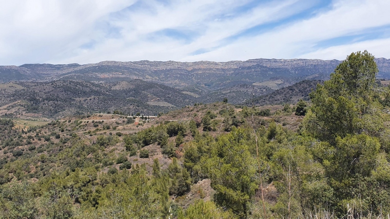 Blick von Torroja del Priorat nach Escaladei