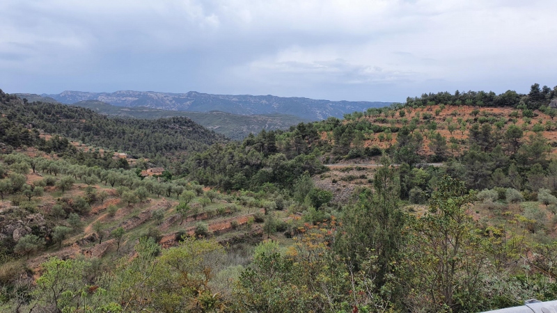 Unterwegs in Katalonien, Im Hintergrund die Sierra de Montsant