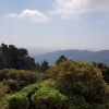 Aussicht von l'Albiol