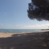 Am Meer