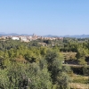 Els Guiamets