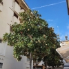 Cambrils