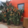In der Hotelanlage von Cambrils