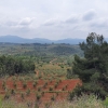 Blick oberhalb El Masroig