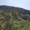 Unterwegs zum Coll de la Teixeta