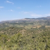 In der Gegend von Torroja del Priorat
